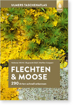 Flechten und Moose bestimmen