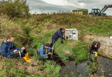 Zwei Jahre lang haben Forscher:innen die Pestizidbelastung an Bchen in Agrarlandschaften untersucht. 