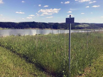 Untersuchungsflche im Jena-Experiment, eines der weltweit ltesten Biodiversittsexperimente.