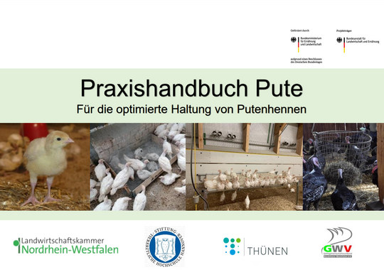 Für die optimierte Haltung von Putenhennen: Das Praxishandbuch Pute ist jetzt erschienen.