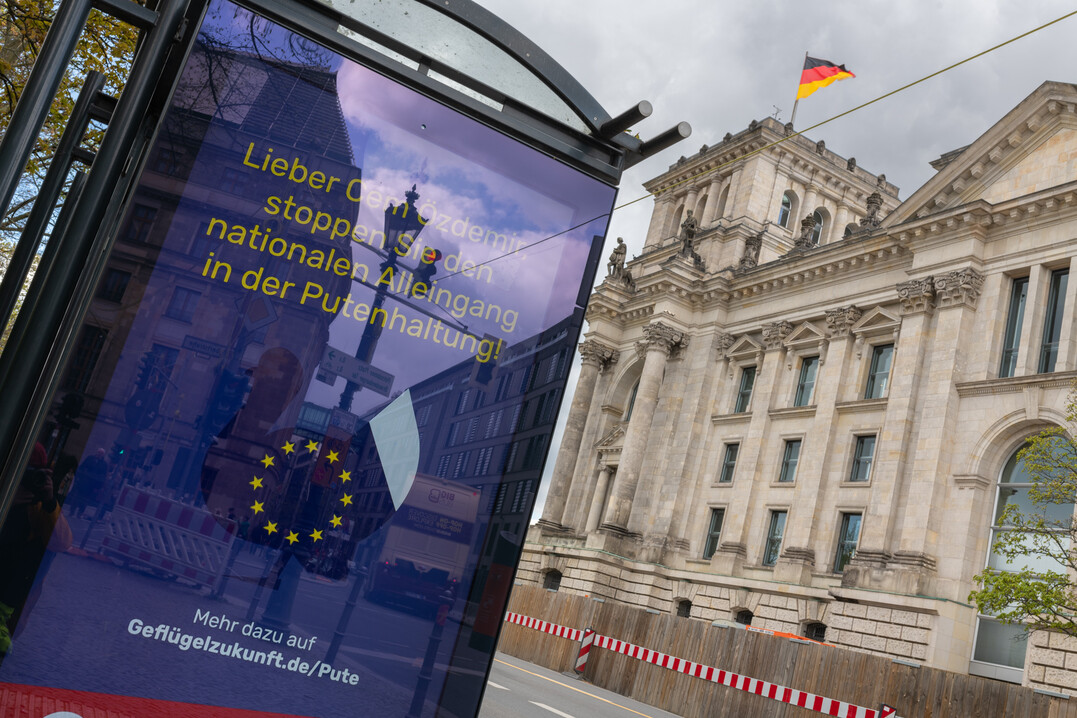 Der ZDG hatte im April 2023 eine öffentlichkeitswirksame  Kampagne gegen den deutschen Alleingang in der Putenhaltung gestartet.