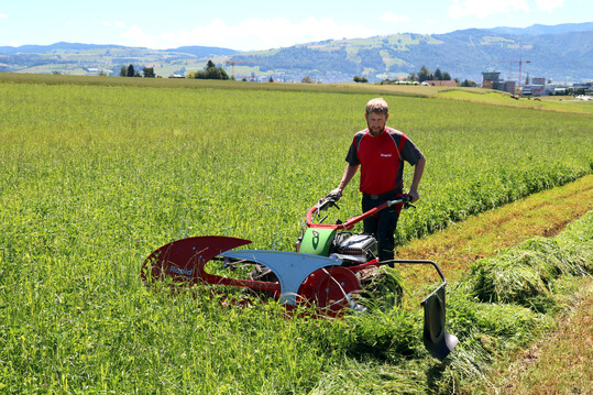 Der Rapid Compact Eingraser ist eine Kombination aus Mhbalken und Bandrechen. Damit wird in einem Arbeitsgang das Gras geschnitten und zu einem Schwad geformt.