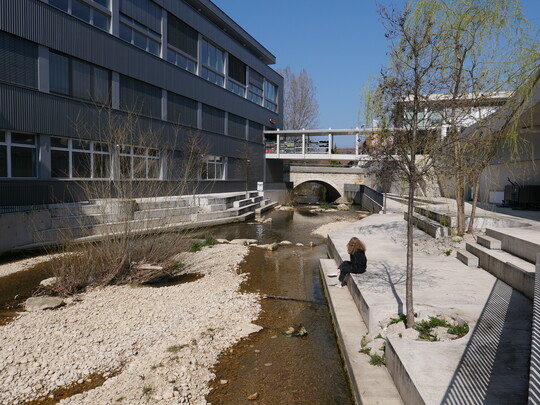 Kanalisiert, links und
rechts steile Borde  so
floss die Lssel durch
das Areal der ehemaligen
Isola-Werke in Breitenbach
(SO). Mit der
Umnutzung zum Wohnquartier
wurde eine
kleine Auenlandschaft
geschaffen, die sich nun
als neue Wildnis im
Quartier entwickeln
kann.