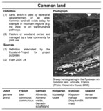 Abb. 6: Ausschnitt aus dem Glossar zur Europäischen Agrarlandschaft (Kruse et al. 2010).