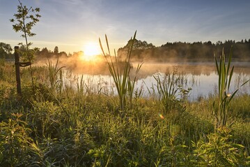 Der 7.000 Quadratmeter groe Heinz-Sielmann-Weiher bietet mit seinen Strukturen wertvolle 
Lebensrume nicht nur fr Libellen. 2022 wurde der Weiher mit 
dem Prdikat Beispielhaftes Bauen ausgezeichnet.