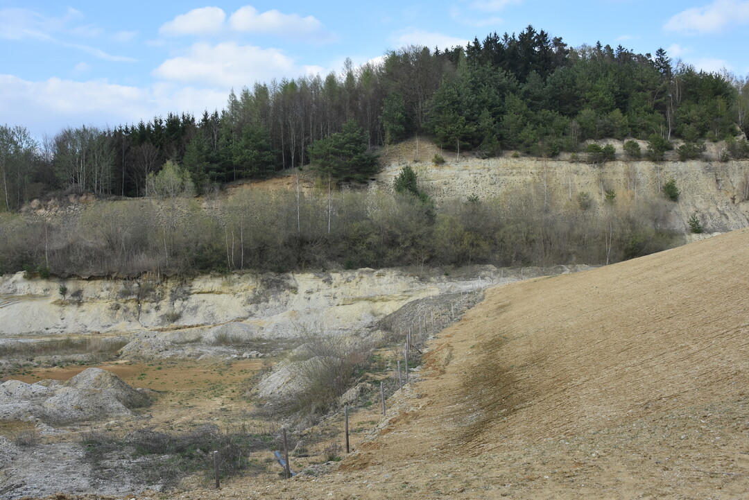 Schon zu Abbauzeiten sind Sand- und Kiesgruben in den kommunalen Gemarkungen ganz besondere Biotope. Zwar stellen sie immer auch einen Eingriff dar, aber steile Wnde, vegetationsfreie Freiflchen, Kiesfcher, Ruderalfluren, temporre Wasserflchen oder Tmpel bieten zahlreichen Arten einen Lebensraum, die in der ausgerumten Landschaft keinen Platz mehr finden. Absprachen mit den Betreibern, helfen den Biotopwert zu optimieren.