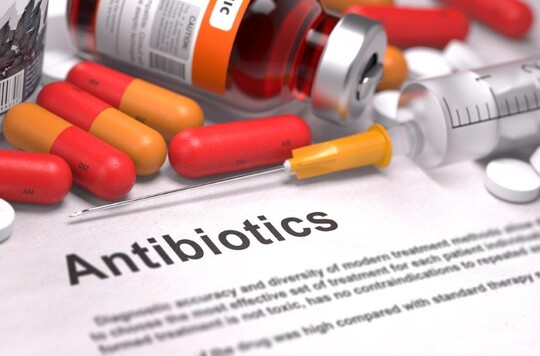 Die Antibiotikaanwendungsmengen bei Masttieren ging in den letzten Jahren zurück.