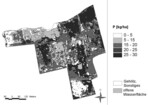 Abb. 5: Phosphor menge in der ober irdischen Biomasse zum maximalen Entwicklungszeitpunkt der Vegetation im Polder Jargelin 2007 (aus Steffenhagen et al. 2008c).