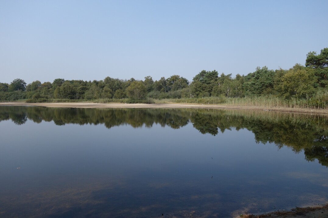 Das Gros der Strandlingsrasen ist inzwischen verschwunden, daher sind dringend Manahmen zum Schutz der Habitate notwendig. Sommerliche Niedrigwasserphase (Erdfallsee im Heiligen Meer).