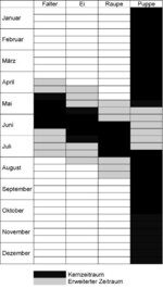Abb. 1: Phänogramm des Nachtkerzenschwärmers, schwerpunktmäßig auf Basis der Angaben bei Traub (1994), Rennwald (2005) und eigenen Daten.