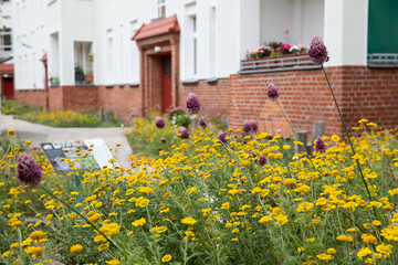 Das Projekt Treffpunkt Vielfalt - Naturnahe Gestaltung von Wohnquartieren setzt auf das kologische Potenzial von Freiflchen im Wohnungsbau.