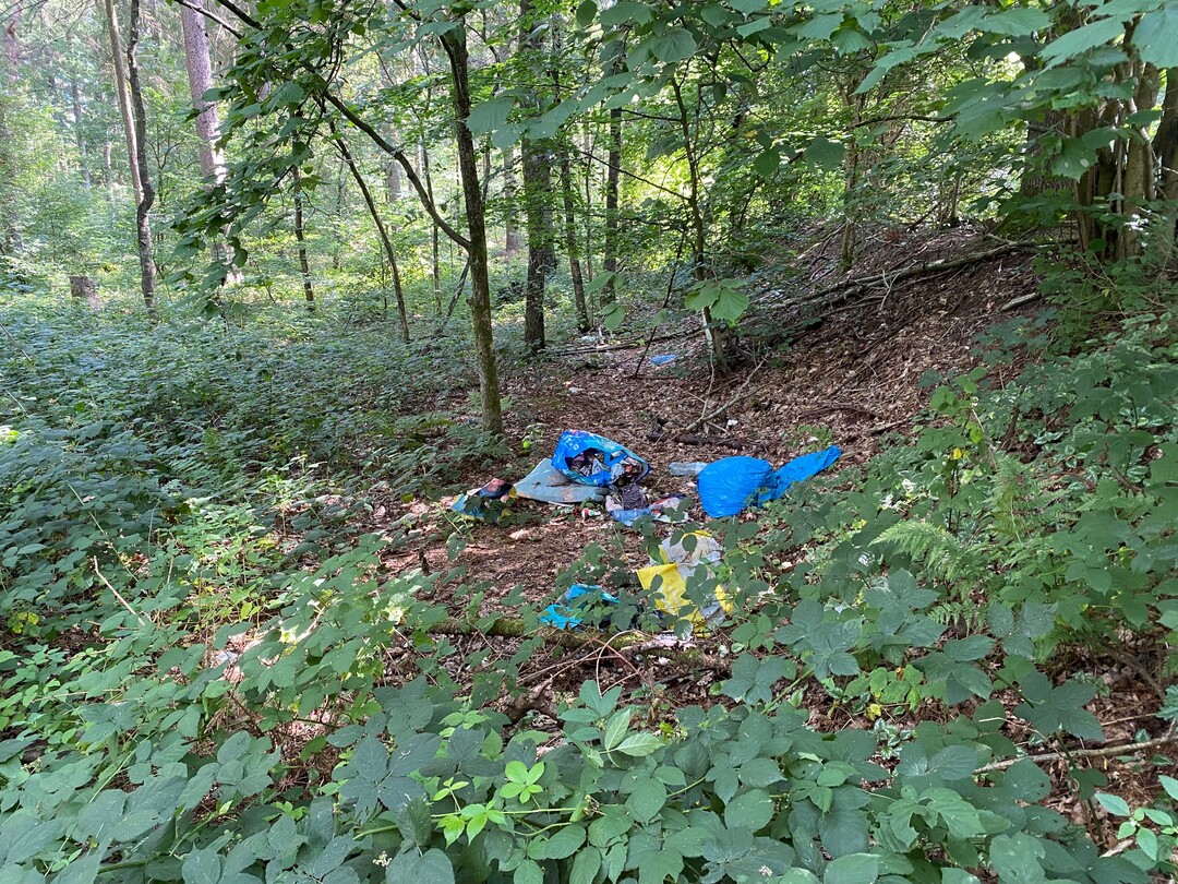   Auch illegale Mllablagerung ist ein typisches Phnomen an Parkpltzen und entlang von Straen. Auch das Aufstellen von Schildern verhindert nicht, dass skrupellose Mitbrger Biotope als Mlldeponien missbrauchen. Jede Brokratisierung oder Verteuerung der legalen Mllentsorgung befrdert dieses Verhalten.