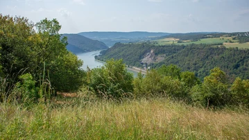 Weitblick in das sommerliche Mittelrheintal