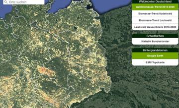 Neue Satellitendaten zeigen deutliche Waldverluste in Deutschland.