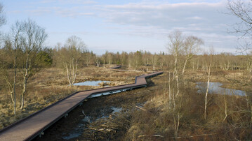 Holzkonstruktionen wie diese Steganlage im Ahlenmoor lassen sich Stahlfundamenten sicher und kostengnstig grnden.