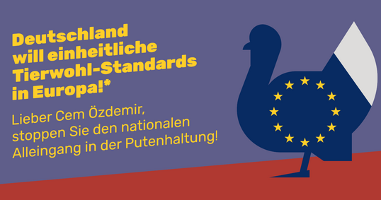 Der  ZDG hat eine Anzeigenkampagne gestartet. Darin fordert der Verband den Landwirtschaftsminister dazu auf, sich für EU-weit geltende Haltungsstandards in der Putenhaltung einzusetzen.